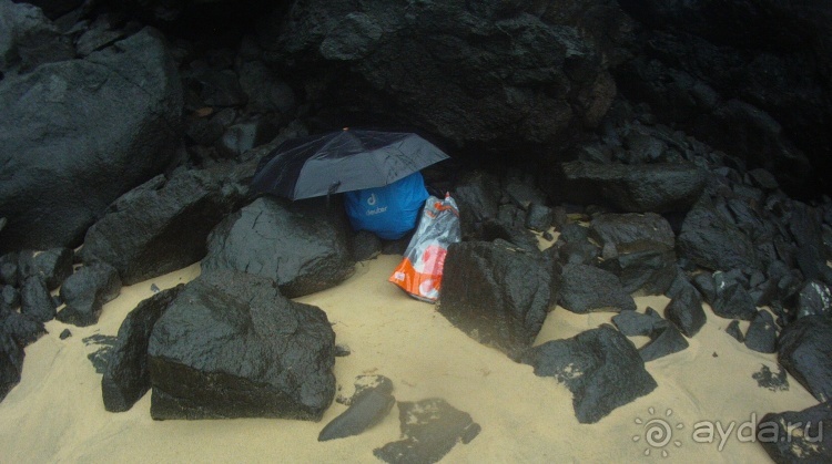 Живая Бразилия. Часть 4/1. Штат Pernambuco.