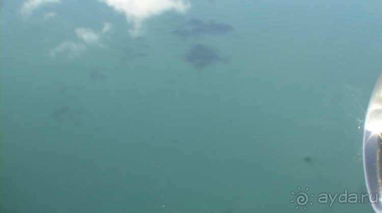 Живая Бразилия. Часть 4/1. Штат Pernambuco.