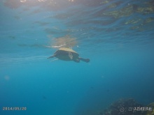 Живая Бразилия. Часть 4/1. Штат Pernambuco.