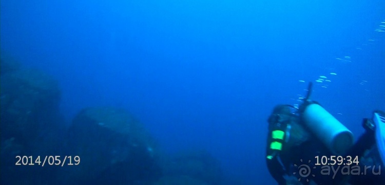 Живая Бразилия. Часть 4/1. Штат Pernambuco.