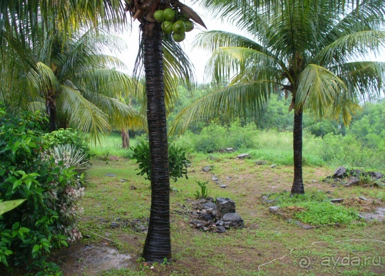 Живая Бразилия. Часть 4/1. Штат Pernambuco.