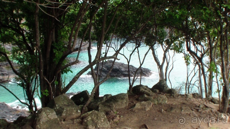 Живая Бразилия. Часть 4/1. Штат Pernambuco.