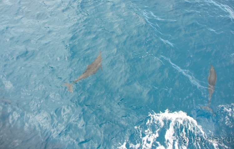 Живая Бразилия. Часть 4/1. Штат Pernambuco.