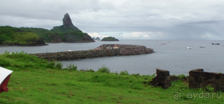 Живая Бразилия. Часть 4/1. Штат Pernambuco.