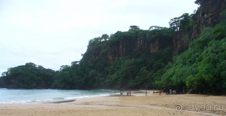 Живая Бразилия. Часть 4/1. Штат Pernambuco.