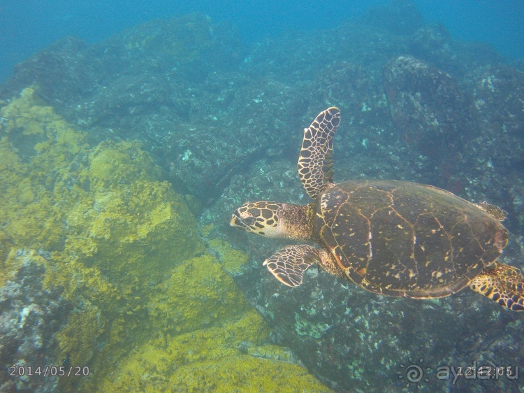 Живая Бразилия. Часть 4/1. Штат Pernambuco.