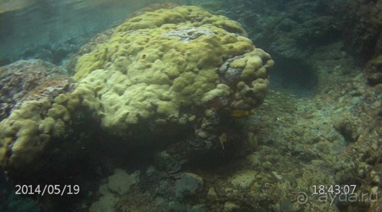 Живая Бразилия. Часть 4/1. Штат Pernambuco.