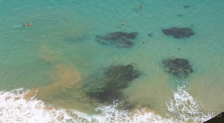 Живая Бразилия. Часть 4/1. Штат Pernambuco.