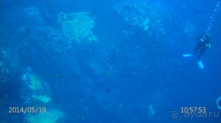 Живая Бразилия. Часть 4/1. Штат Pernambuco.