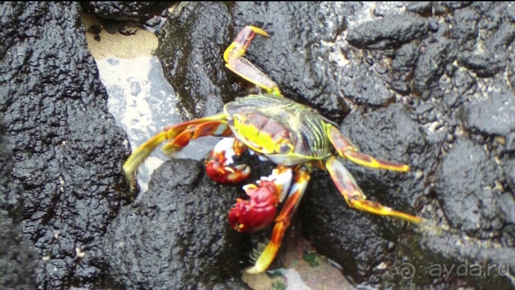 Живая Бразилия. Часть 4/1. Штат Pernambuco.