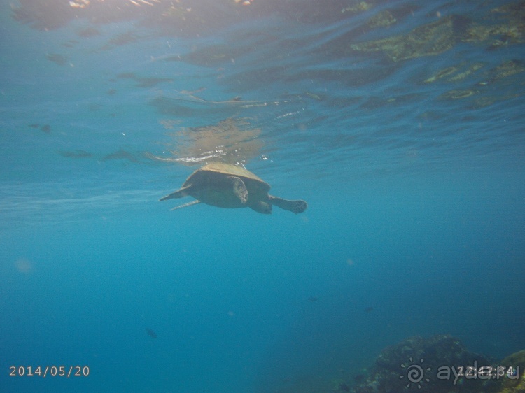 Живая Бразилия. Часть 4/1. Штат Pernambuco.