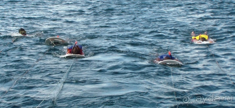 Живая Бразилия. Часть 4/1. Штат Pernambuco.