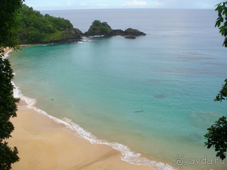 Живая Бразилия. Часть 4/1. Штат Pernambuco.