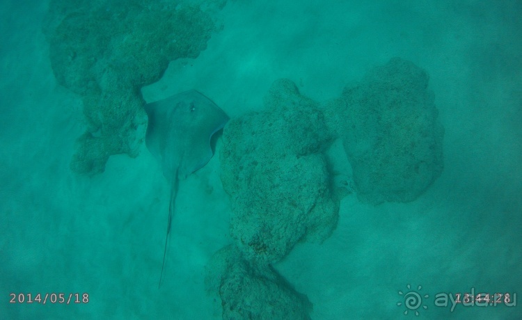 Живая Бразилия. Часть 4/1. Штат Pernambuco.