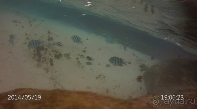 Живая Бразилия. Часть 4/1. Штат Pernambuco.