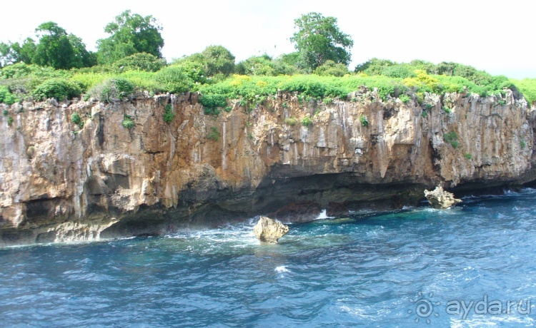 Живая Бразилия. Часть 4/1. Штат Pernambuco.