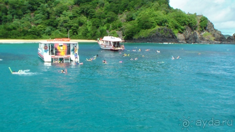 Живая Бразилия. Часть 4/1. Штат Pernambuco.