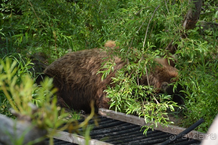 Наш полуостров. Часть 4. Вертолётная экскурсия № 2
