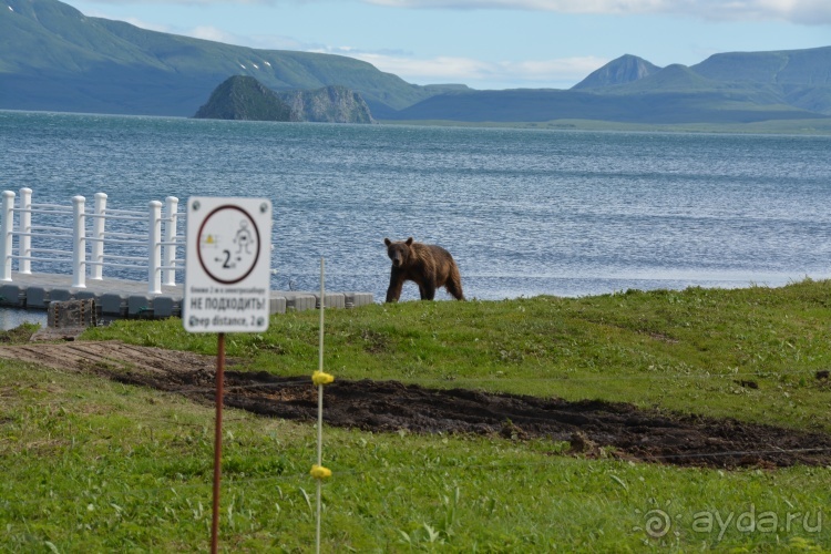 Наш полуостров. Часть 4. Вертолётная экскурсия № 2