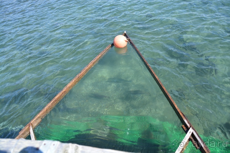 Наш полуостров. Часть 4. Вертолётная экскурсия № 2