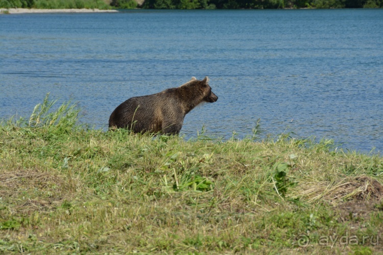 Наш полуостров. Часть 4. Вертолётная экскурсия № 2