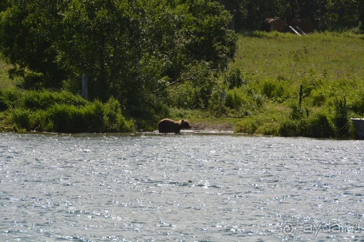 Наш полуостров. Часть 4. Вертолётная экскурсия № 2