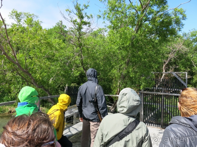 Наш полуостров. Часть 4. Вертолётная экскурсия № 2