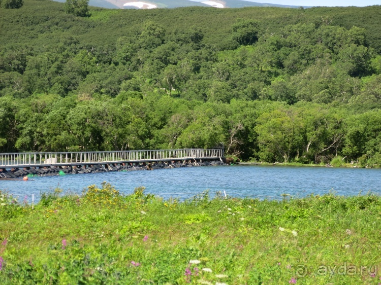 Наш полуостров. Часть 4. Вертолётная экскурсия № 2