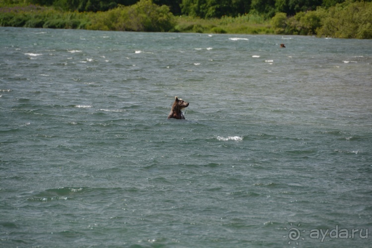 Наш полуостров. Часть 4. Вертолётная экскурсия № 2