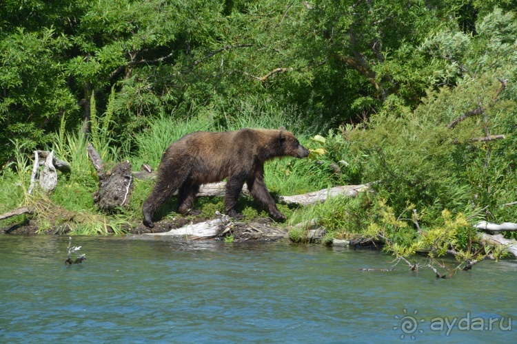 Наш полуостров. Часть 4. Вертолётная экскурсия № 2