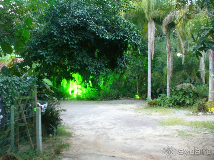 Альбом отзыва "Живая Бразилия. Часть 1. Штат Santa Catarina."