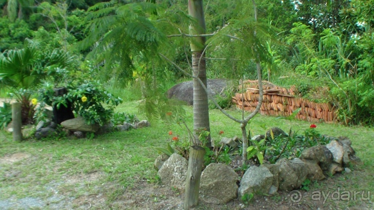 Живая Бразилия. Часть 1. Штат Santa Catarina.