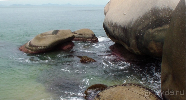 Живая Бразилия. Часть 1. Штат Santa Catarina.