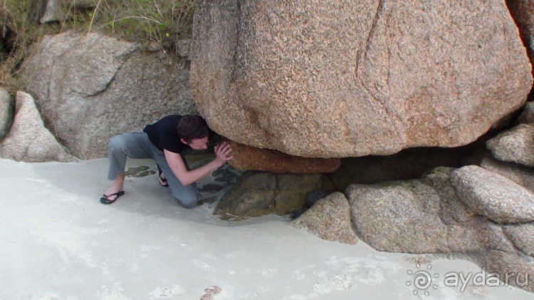 Живая Бразилия. Часть 1. Штат Santa Catarina.