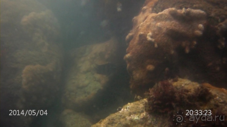 Живая Бразилия. Часть 1. Штат Santa Catarina.