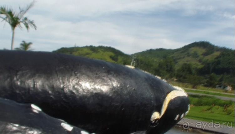 Живая Бразилия. Часть 1. Штат Santa Catarina.