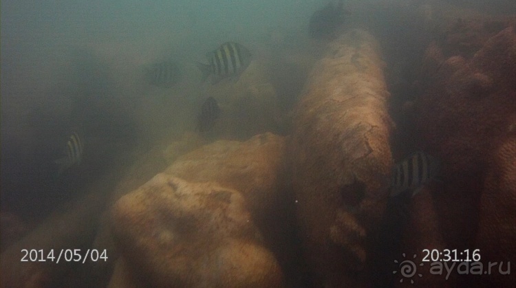 Живая Бразилия. Часть 1. Штат Santa Catarina.