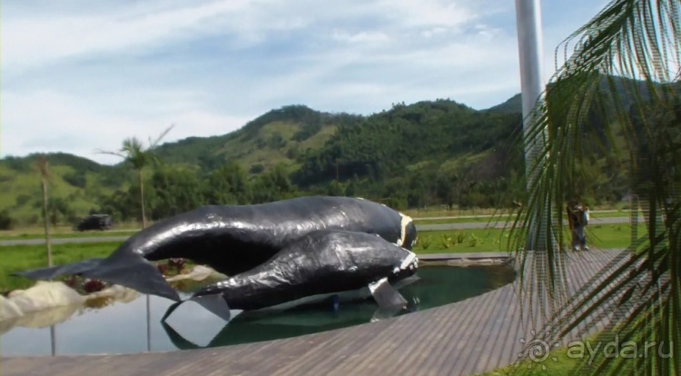 Живая Бразилия. Часть 1. Штат Santa Catarina.