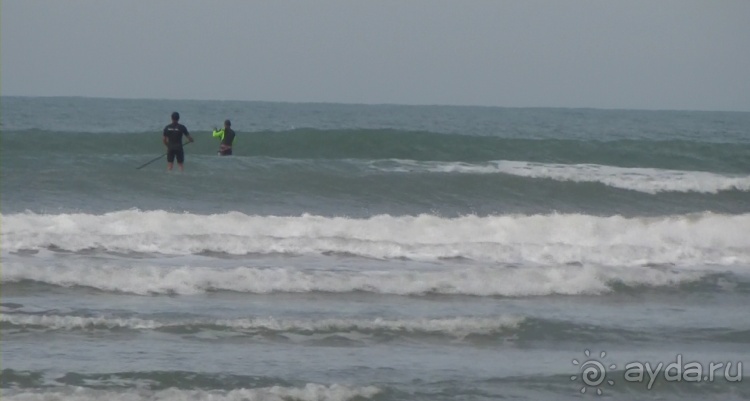 Живая Бразилия. Часть 1. Штат Santa Catarina.