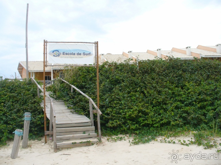 Живая Бразилия. Часть 1. Штат Santa Catarina.