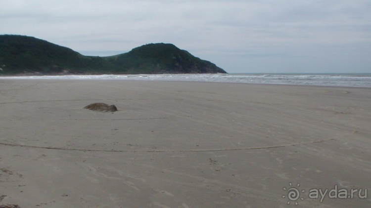 Живая Бразилия. Часть 1. Штат Santa Catarina.