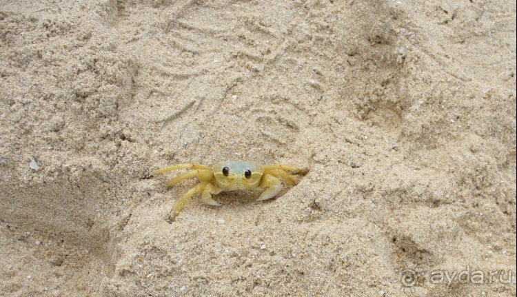 Живая Бразилия. Часть 1. Штат Santa Catarina.