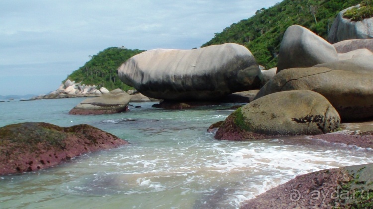 Живая Бразилия. Часть 1. Штат Santa Catarina.