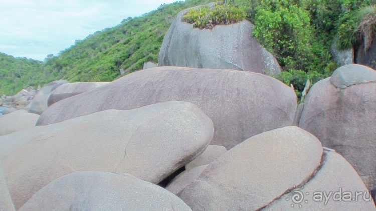 Живая Бразилия. Часть 1. Штат Santa Catarina.