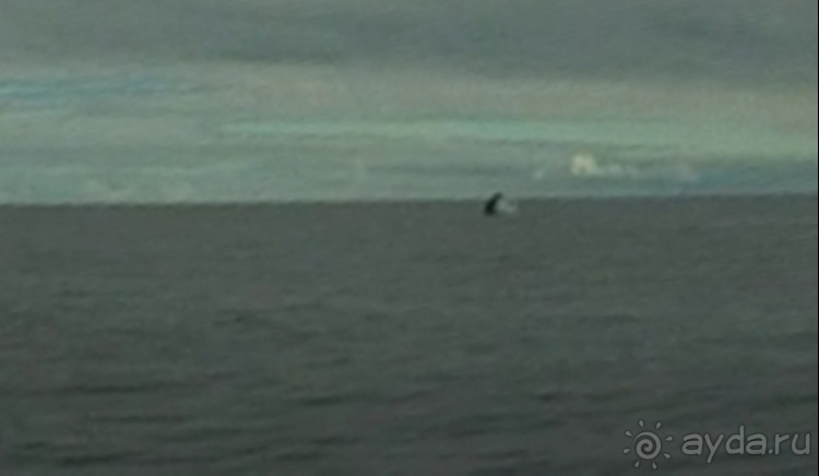 "Азоры это шо?" и "Азоры это хде?". Остров 5. Pico