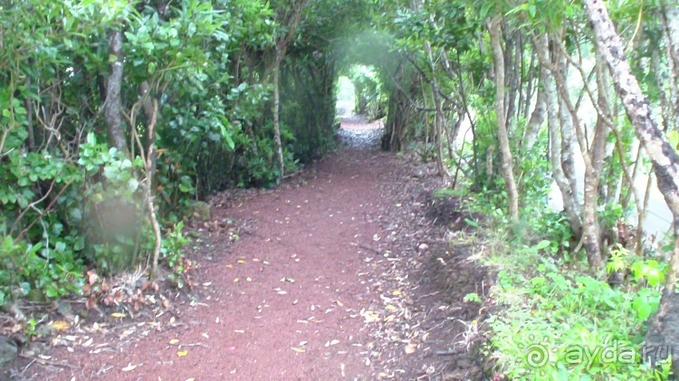 "Азоры это шо?" и "Азоры это хде?". Остров 5. Pico