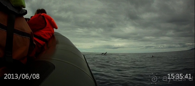 "Азоры это шо?" и "Азоры это хде?". Остров 5. Pico