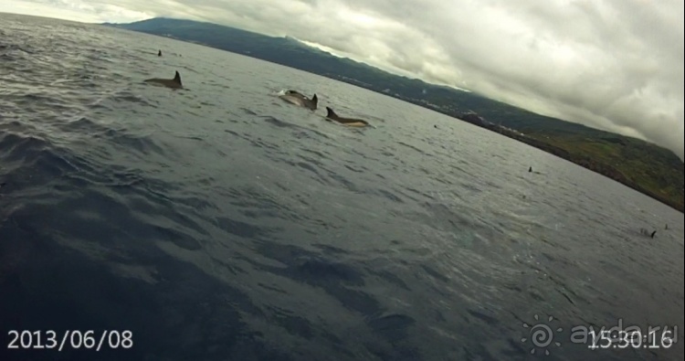 "Азоры это шо?" и "Азоры это хде?". Остров 5. Pico