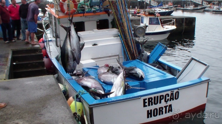 "Азоры это шо?" и "Азоры это хде?". Остров 5. Pico