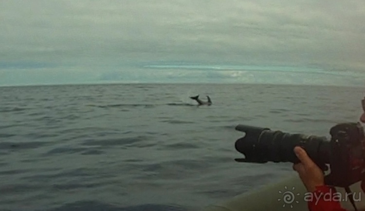 "Азоры это шо?" и "Азоры это хде?". Остров 5. Pico